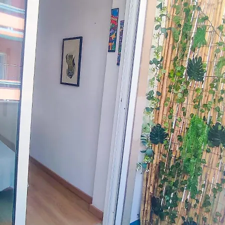 Surf Vibe Homestay *
