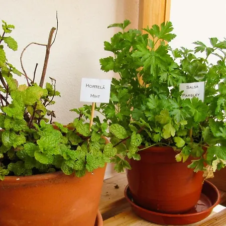 Privat bolig Surf Vibe *